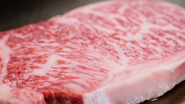 國外的牛肉能煎牛排，同樣都是牛肉，為何國內的牛卻不行？