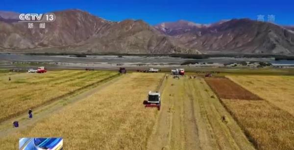 “老西藏精神”引領雪域高原鉅變！追尋西藏的發展“密碼”