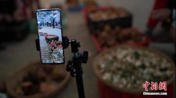 雲南到底有多美？誰沒去過誰後悔……