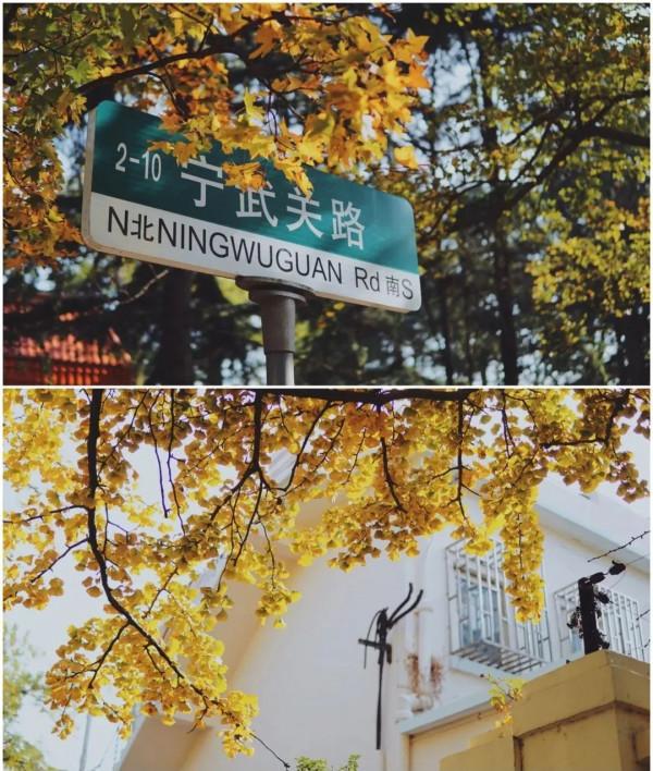 八大關，美了！