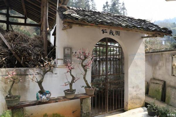 安徽備受歡迎的漁村，正月梅花盛開浪漫滿滿，過年放假不妨去看看