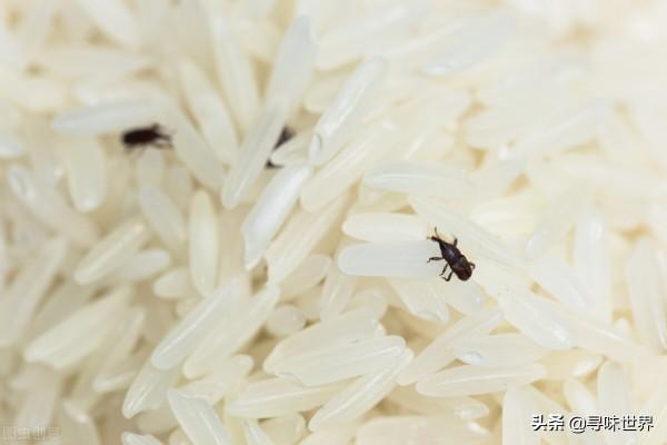 10個小訣竅，可以延長食物保質期保持新鮮，省錢省事，太實用了