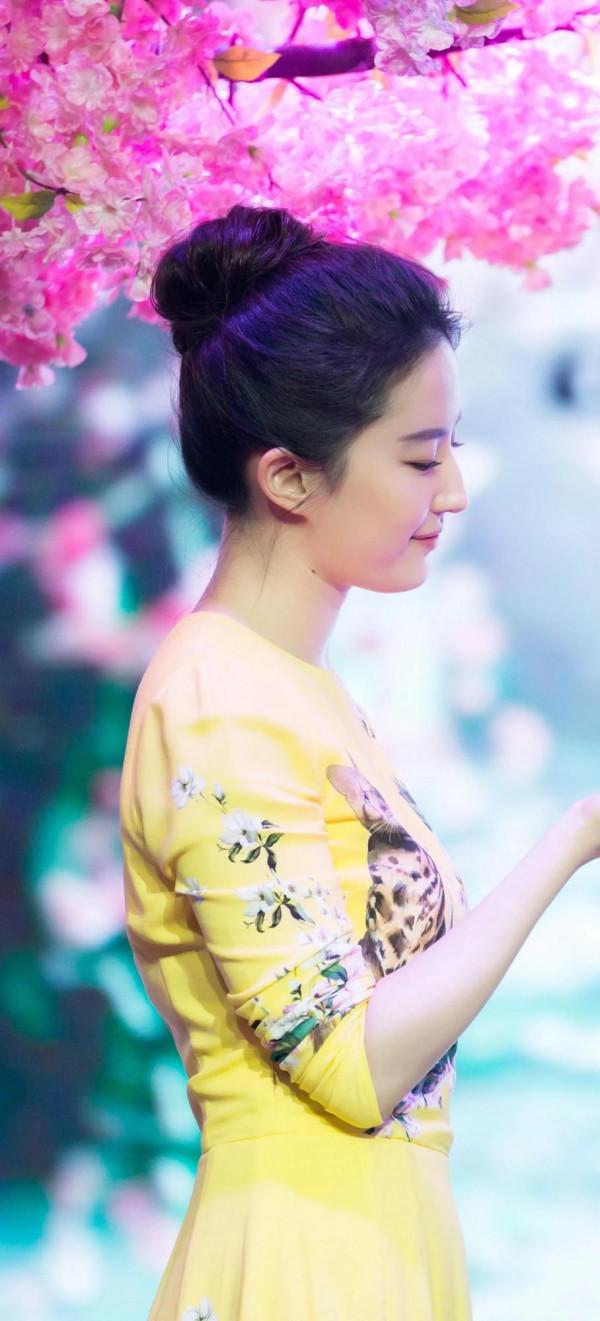 劉亦菲高畫質美圖 劉亦菲高畫質美圖