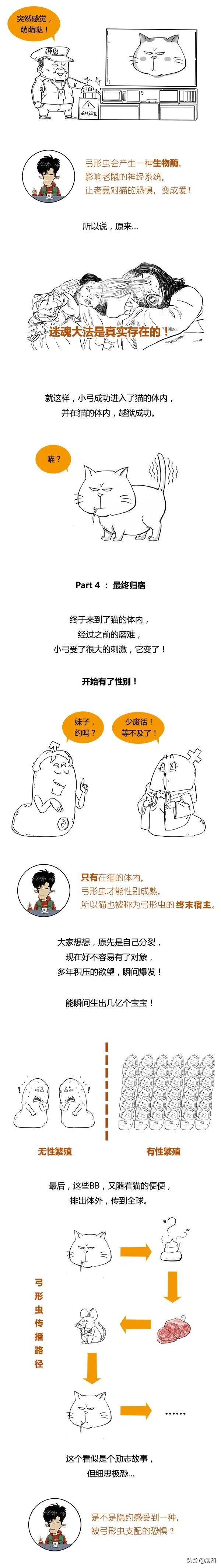 吃火鍋也能感染？還是導致家庭破裂的存在，弓形蟲到底是啥？