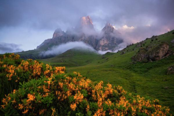 你還在輕信別人口中的高加索嗎?現在去看看它真實模樣 你還在輕信別人口中的高加索嗎?現在去看看它真實模樣