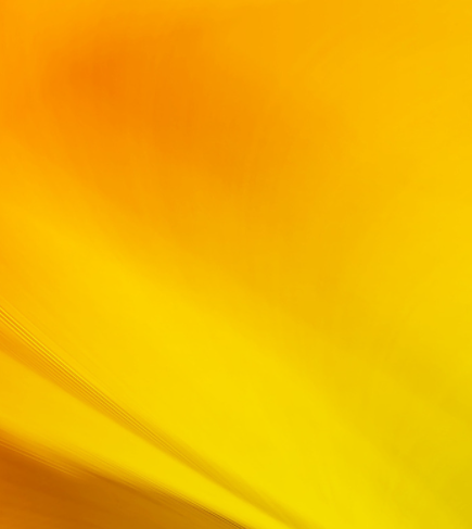 把鑑定等同於鑑賞,再把鑑賞神秘化,是一場陰謀 把鑑定等同於鑑賞,再把鑑賞神秘化,是一場陰謀