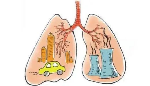 肺氣一虛，全身受累！秋季如何巧補肺氣？