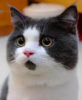 影視劇看偏執型人格，徐正、安嘉和、丁蟹，個個讓你瑟瑟發抖