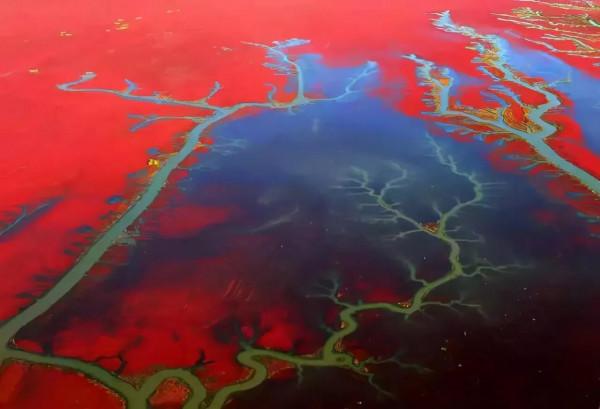 醉美中國，在秋天