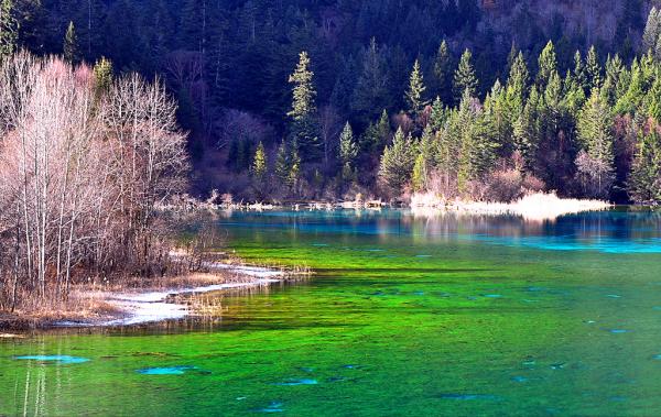 吃飯的時候喝水會帶來什麼危害? 吃飯的時候喝水會帶來什麼危害?