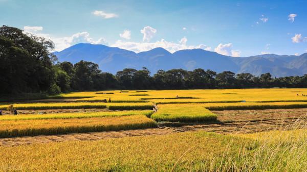 人生信仰：不怨天，不尤人——人當求諸己，盡人事，而莫怨天尤人