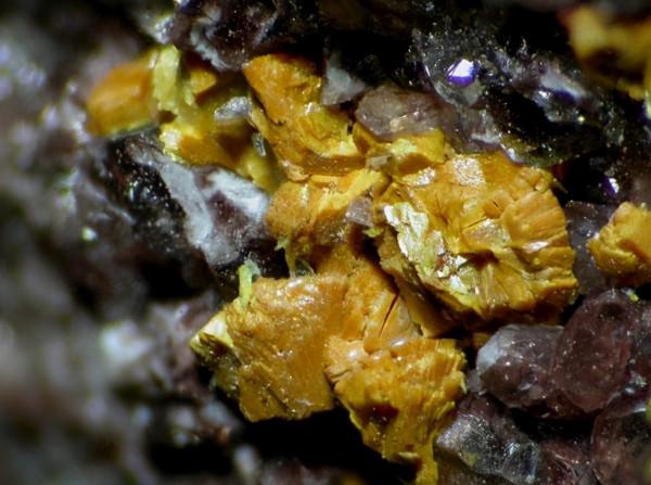 1954年，猶太人“好心”送我國核武器原料，周總理親令：查明真偽