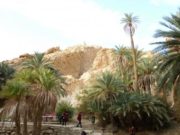 「突尼西亞2014」託澤尓（一）&mdash;&mdash;沙漠中的綠寶石