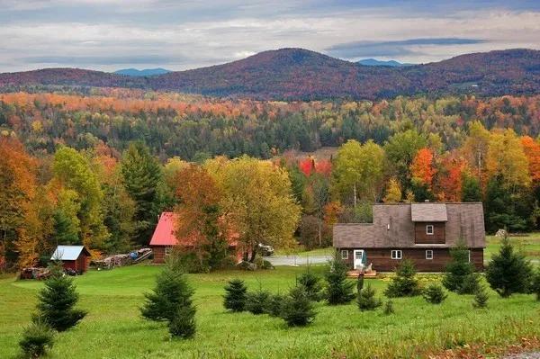 佛蒙特森林風光