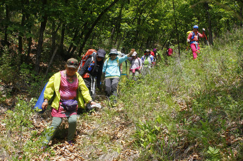 安徽親子游 | 願孩子在自然中，在好奇心中慢慢長大