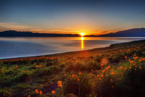 秋天的新疆，美成了桌布