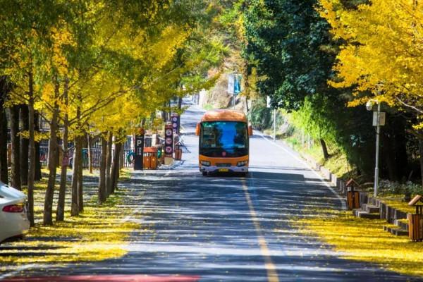 秋遊不可錯過白雲山，它免費來了