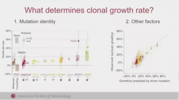基因突變與克隆性造血有哪些聯絡，又如何指導AML危險分層？