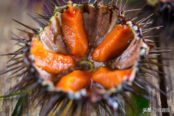 這29個廣東冷知識，您全都瞭解嗎？