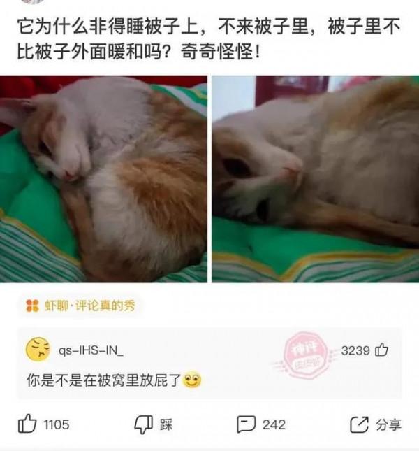 西遊記裡面吃人參果也能長生不老，為什麼沒有妖怪去搶？