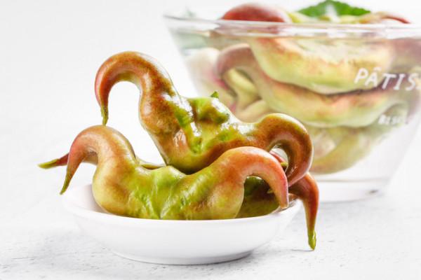 北方人到南方做官,不識菱角硬裝懂的故事 北方人到南方做官,不識菱角硬裝懂的故事