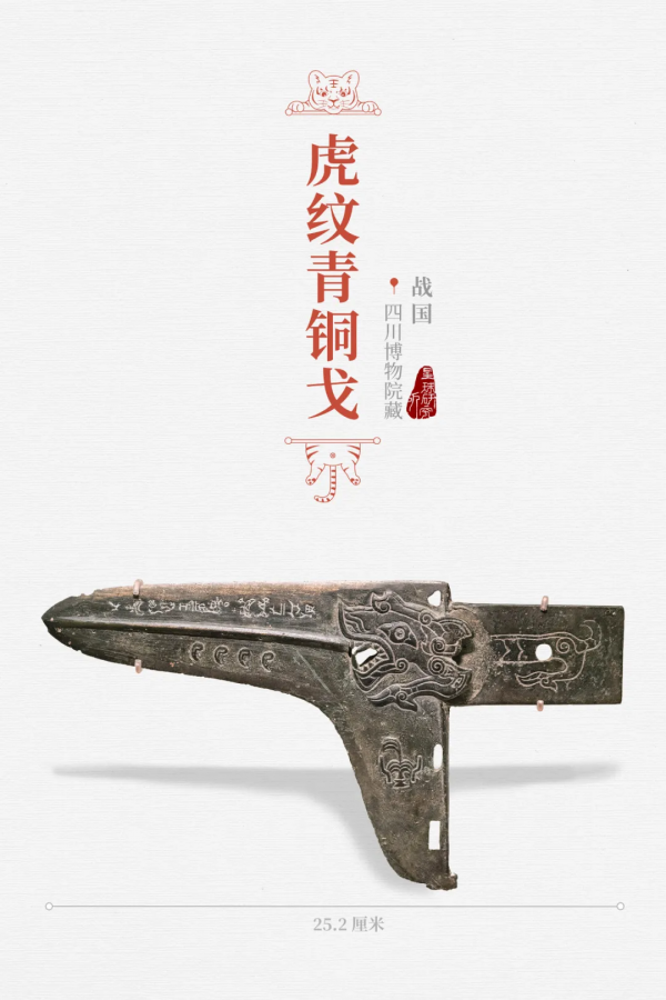 &quot&semi;meng&quot&semi;虎出山，虎年新春帶你看老虎的前世今生