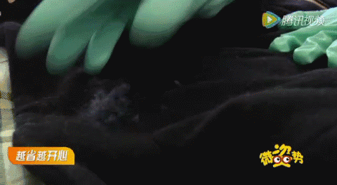 跟我學，羊絨大衣不再難打理