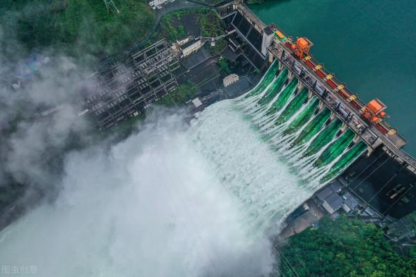 千島湖的“淨水魚”:鰱鱅放養60多年,水庫“魚王”到底有多大? 千島湖的“淨水魚”:鰱鱅放養60多年,水庫“魚王”到底有多大?