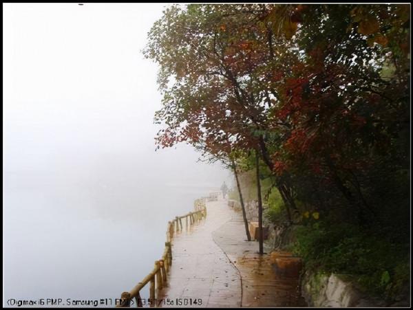 秋遊紅葉谷 秋遊紅葉谷