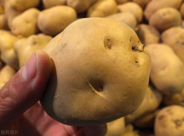 老同志把凍土豆讓給年輕人吃,自己餓倒後,再也沒起來 老同志把凍土豆讓給年輕人吃,自己餓倒後,再也沒起來