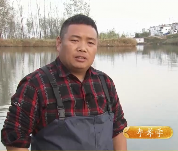 安徽小夥用4萬元，在螃蟹塘養7000條鴨嘴魚，淨賺56萬！憑啥？