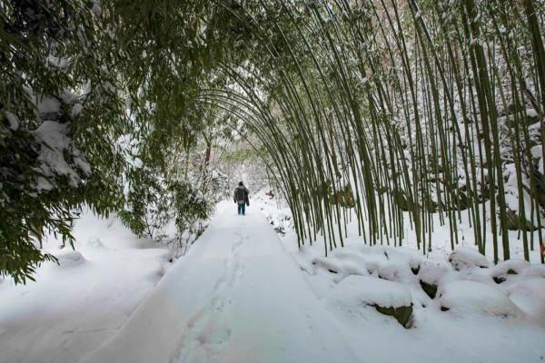 錯峰出遊，盡賞金絲峽冰雕玉琢雪景世界