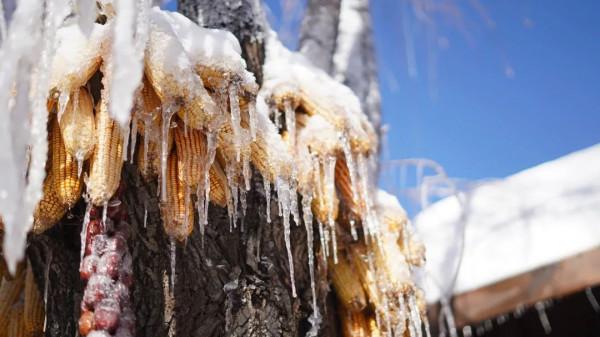 虎山邀您賞最美雪景