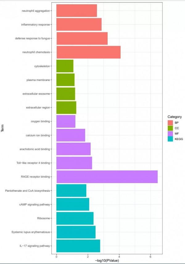其實,非腫瘤純生信可以這樣進行創新發表 其實,非腫瘤純生信可以這樣進行創新發表