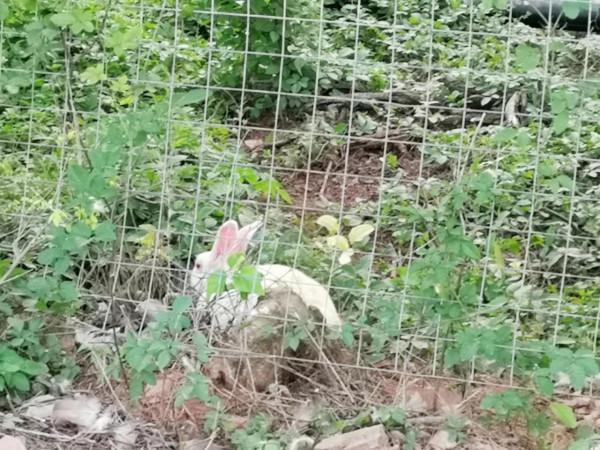 摩托周邊旮旯遊——尋朱元璋出家之於皇寺 摩托周邊旮旯遊——尋朱元璋出家之於皇寺