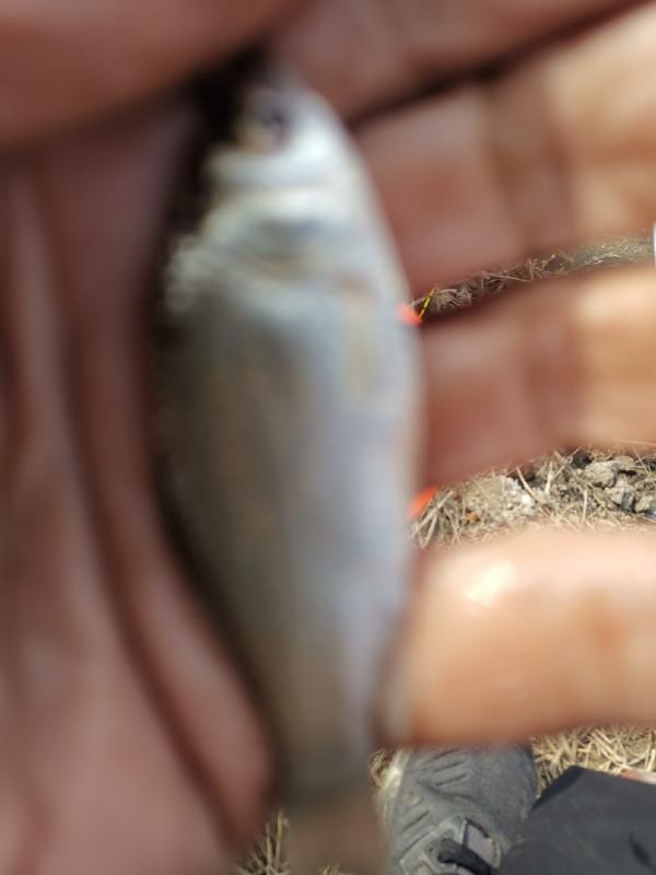 惡劣天氣也阻擋不了釣魚人的腳步，餵魚時刻準備著……