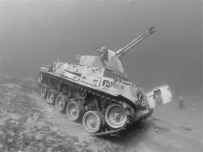 20張圖看奇妙世界:在澳大利亞蟑螂也是寵物,拇指西瓜價格賊貴 20張圖看奇妙世界:在澳大利亞蟑螂也是寵物,拇指西瓜價格賊貴