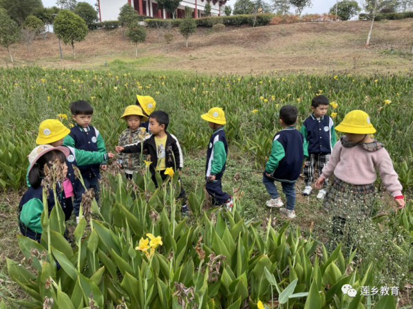 親近自然 快樂童行——廣昌縣第三幼兒園秋遊活動