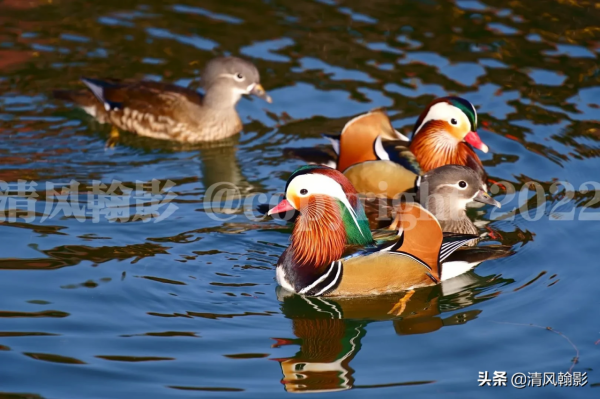 雖然二代很香，還是要推薦大家買一代，畢竟是大師頭