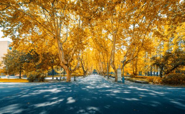 秋冬易胖?這幾種食物,越吃越瘦 秋冬易胖?這幾種食物,越吃越瘦