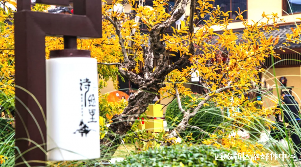 這樣的西鹹新區,愛了! 這樣的西鹹新區,愛了!