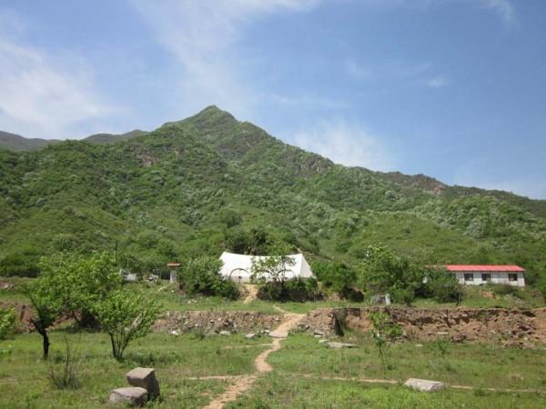 小兔子化身白娘子來報恩