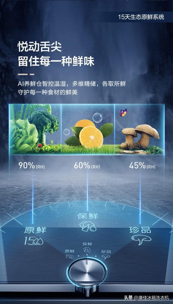 家庭應急儲備物資,有這臺冰箱就夠了 家庭應急儲備物資,有這臺冰箱就夠了