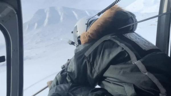 抓住北極熊後該做些什麼？丨奇怪的動物知識