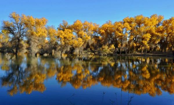 你想要來的新疆2022年是這樣的