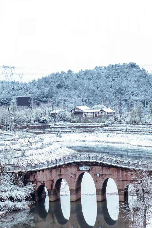 春雪紛飛染冬色 黔地皚皚似北國
