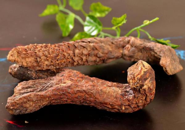 內蒙34歲男子借200萬包下荒漠,幾年後成當地首富,黃沙中真有黃金? 內蒙34歲男子借200萬包下荒漠,幾年後成當地首富,黃沙中真有黃金?