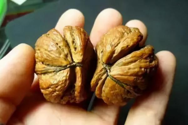 醜出新高度，價格卻貴得離譜