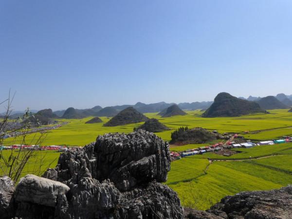 我對羅平的油菜花似乎也有&OpenCurlyDoubleQuote;七年之癢&rdquo;