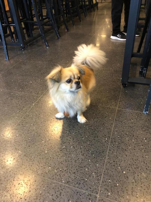 寶寶第279天～中午吃了輔食米飯和小米